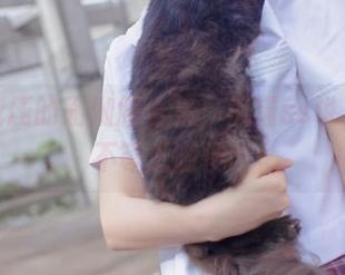 如此减压的瑜伽服合集，疯猫ss说，免费不等于随便哦