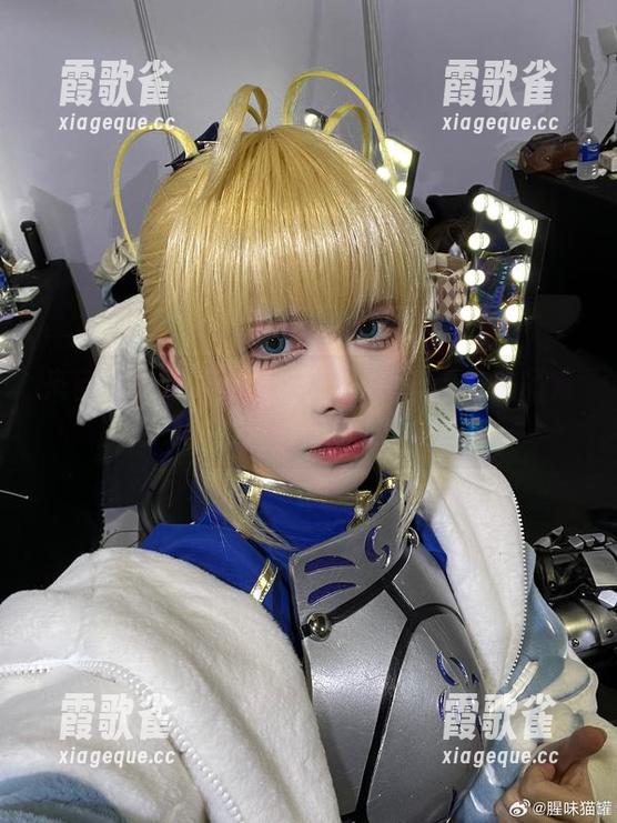 来自腥味猫罐的透明性：这份精选作品集你值得拥有